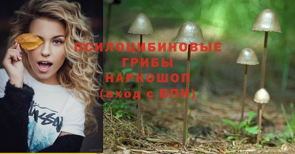 ECSTASY Лабытнанги
