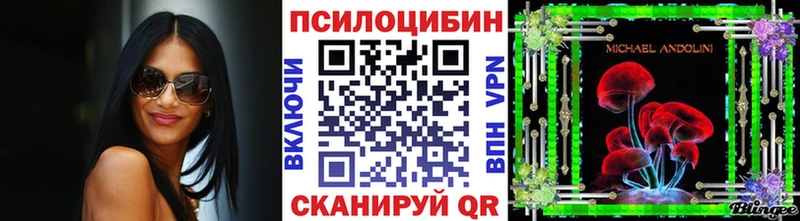 MEGA как войти Рыльск Псилоцибиновые грибы мицелий купить